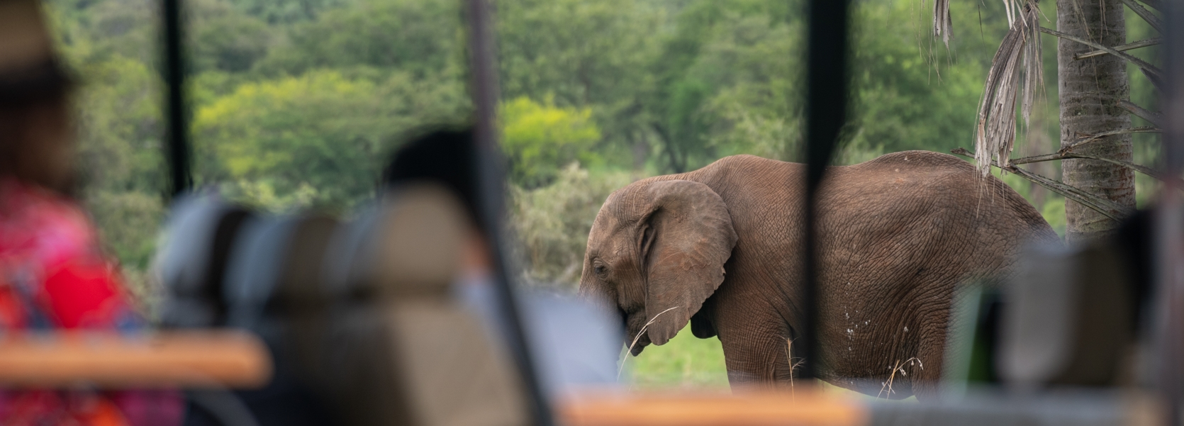 Travel Blog and Safari News shares thrilling journeys through East Africa’s wild landscapes