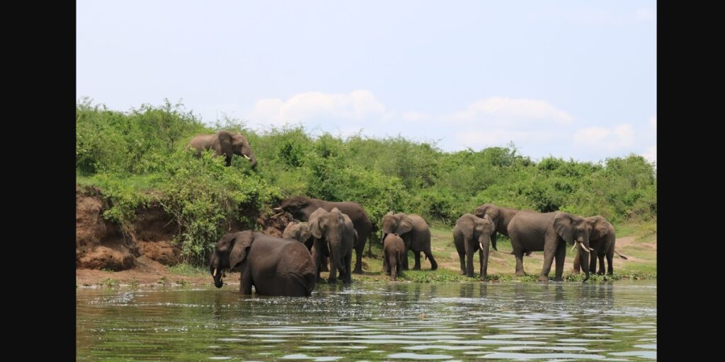 Kazinga Channel