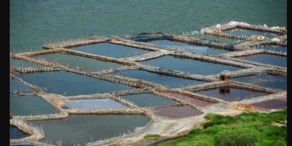 Salt mining at Lake Katwe